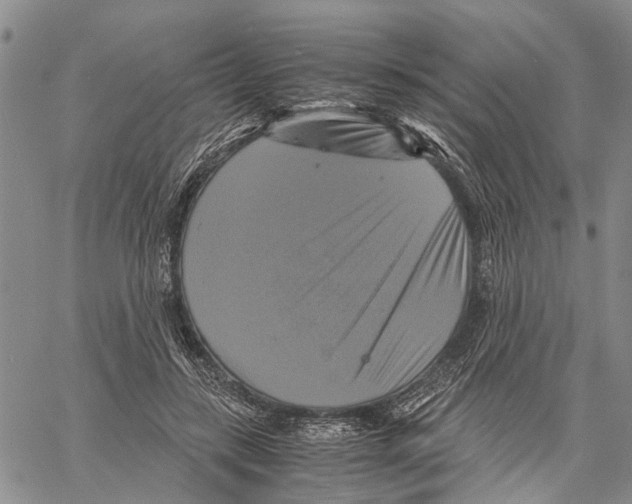 X0000060570547200512011710