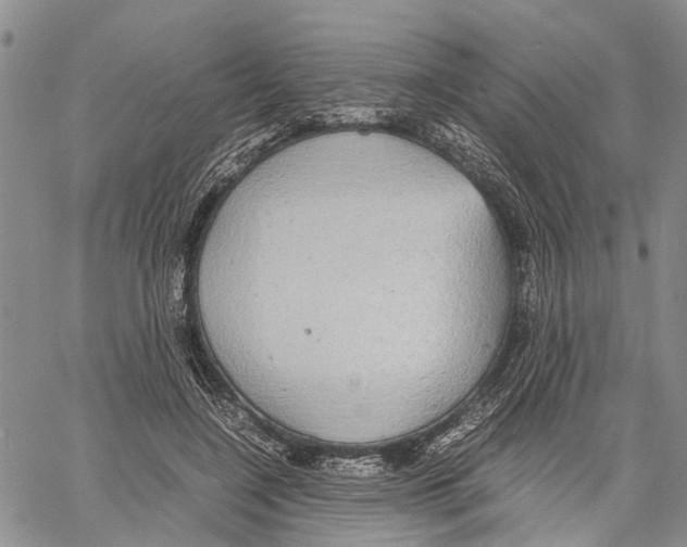 X0000060570548200512011710