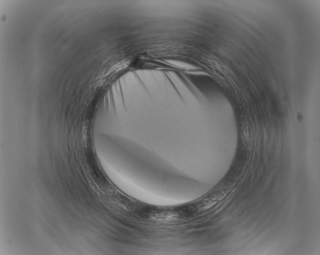 X0000060570551200512011710