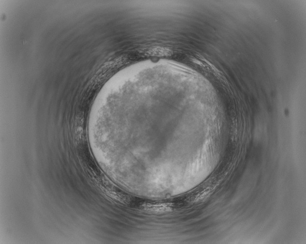 X0000060570553200512011710