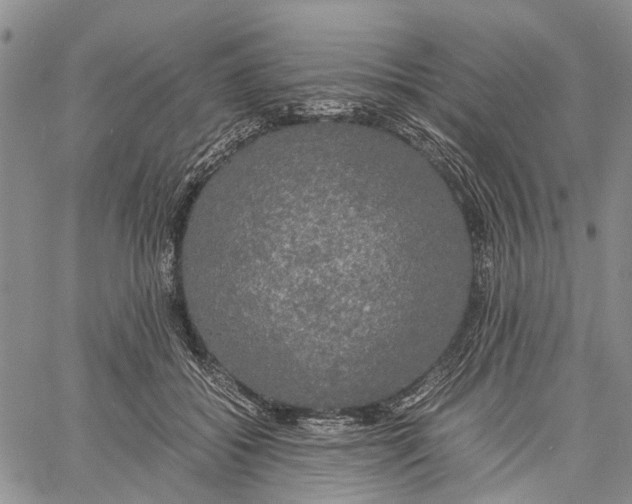 X0000060570556200512011710