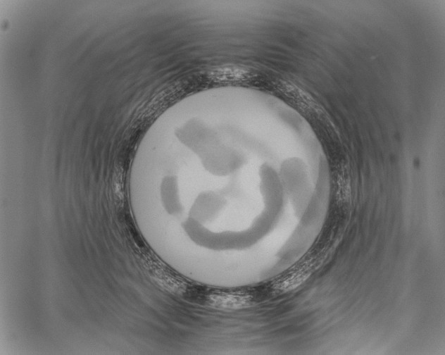 X0000060570561200512011710