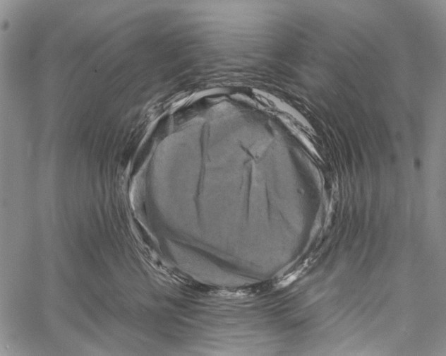 X0000060570570200512011710