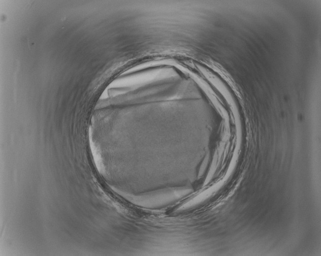 X0000060570577200512011710