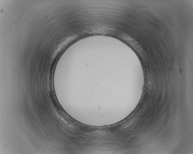 X0000060570578200512011710