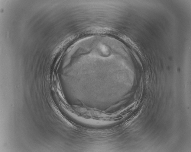 X0000060570581200512011709