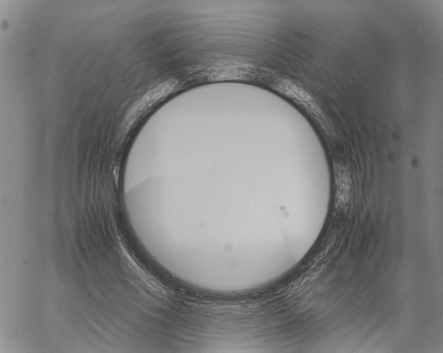 X0000060570586200512011709