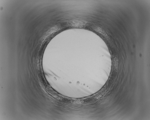 X0000060570587200512011709