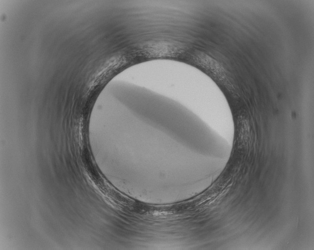 X0000060570590200512011709