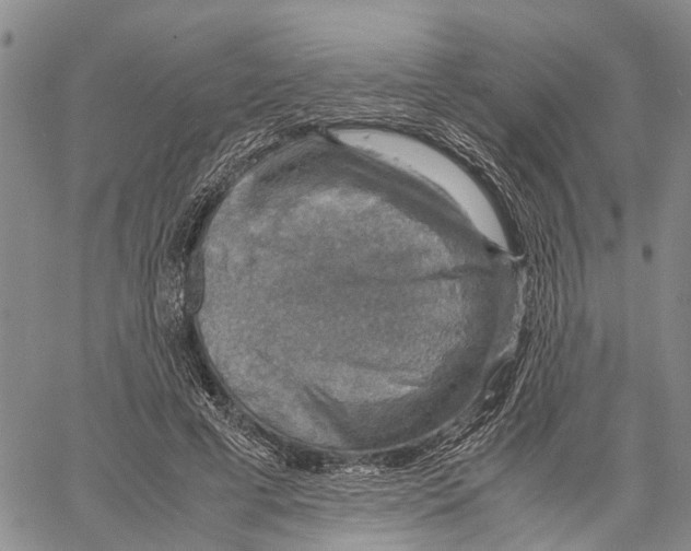 X0000060570593200512011709