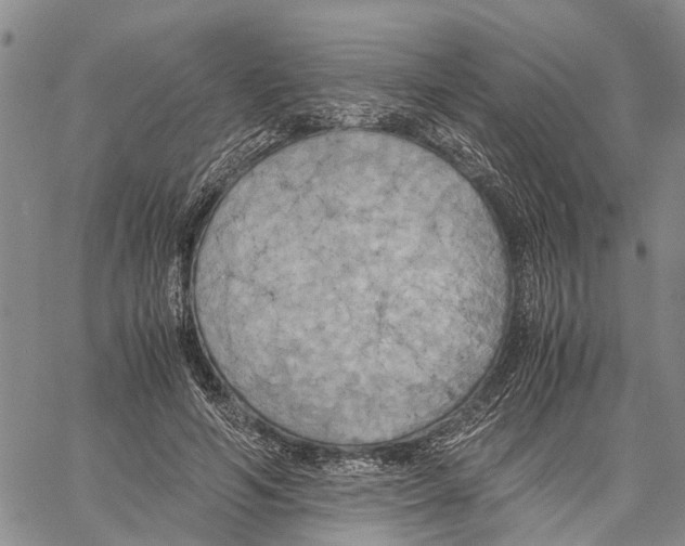 X0000060570594200512011709