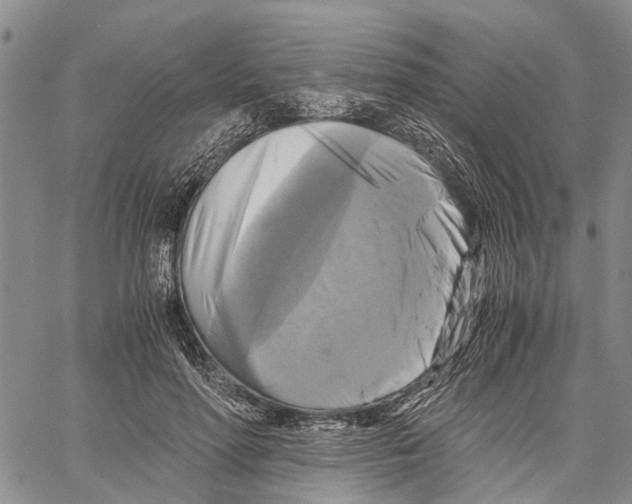 X0000060570598200512011709