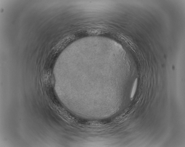 X0000060570601200512011709
