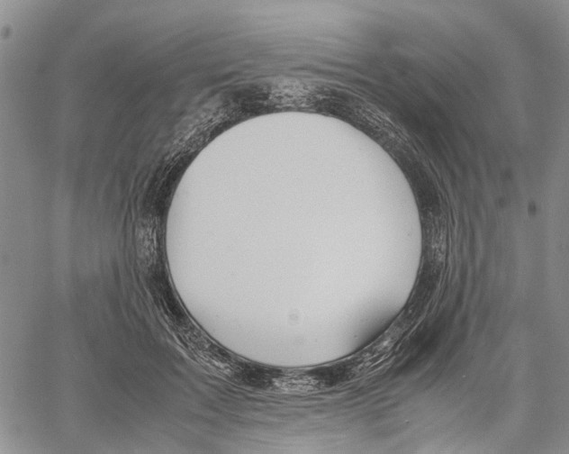 X0000060570603200512011709