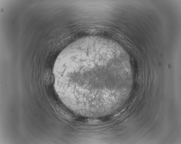 X0000060570605200512011709