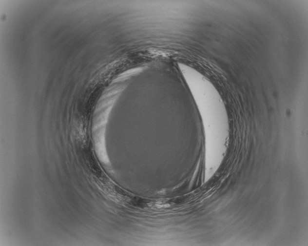 X0000060570607200512011709
