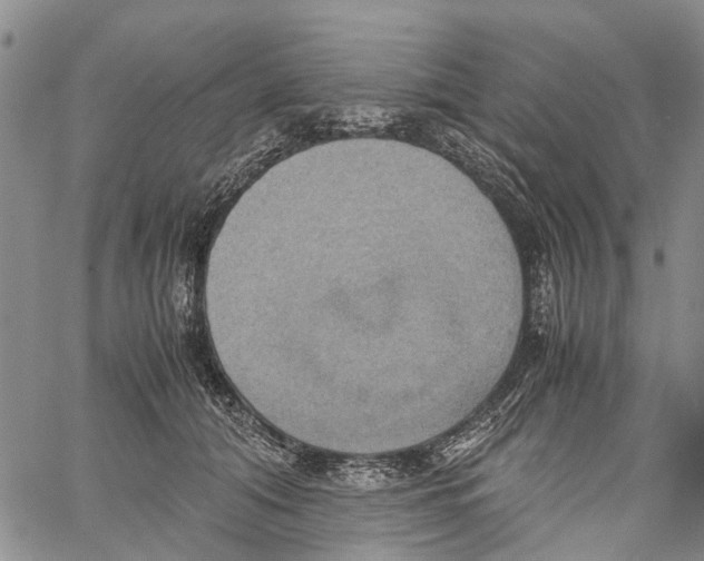 X0000060570608200512011709