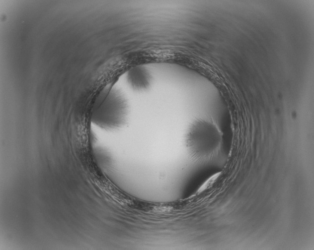 X0000060570609200512011709