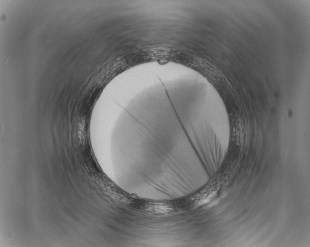 X0000060570610200512011709