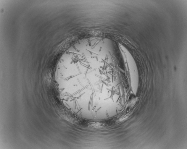 X0000060570611200512011709