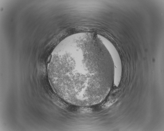 X0000060570617200512011709