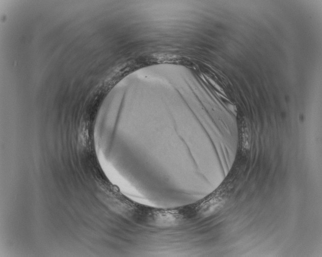 X0000060570618200512011709