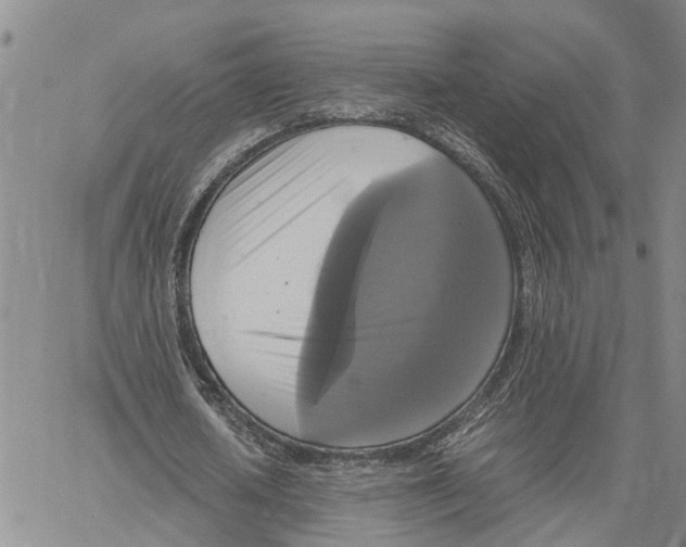 X0000060570626200512011708
