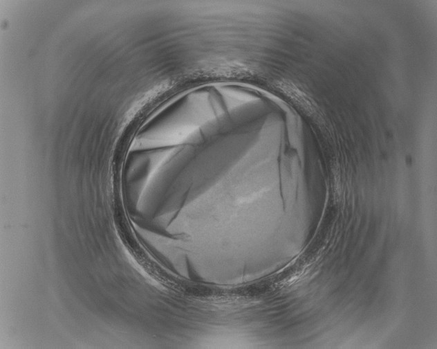 X0000060570630200512011708