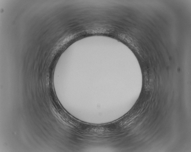 X0000060570631200512011708