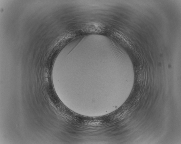 X0000060570643200512011708