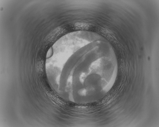 X0000060570649200512011708