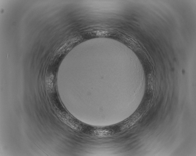 X0000060570650200512011708