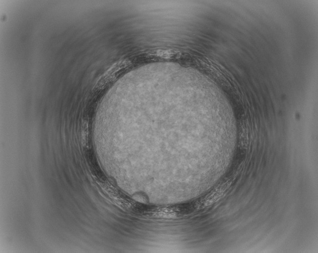 X0000060570656200512011708