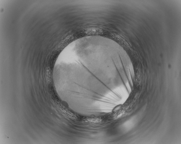 X0000060570659200512011709