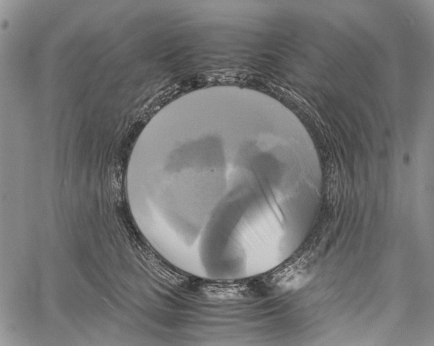X0000060570661200512011709
