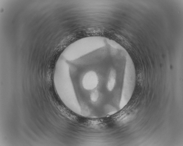 X0000060570662200512011709