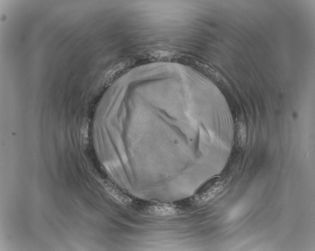 X0000060570668200512011709