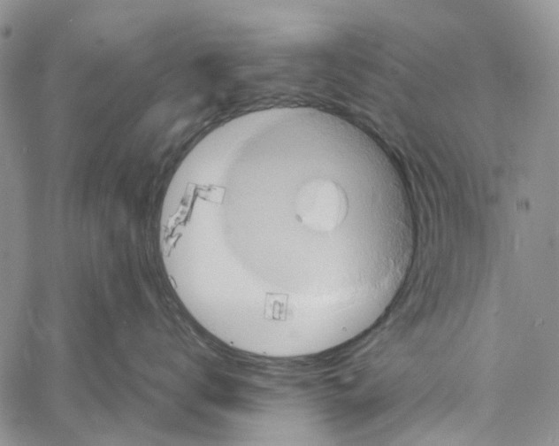 X0000060570672200512011709