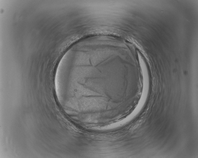 X0000060570673200512011708