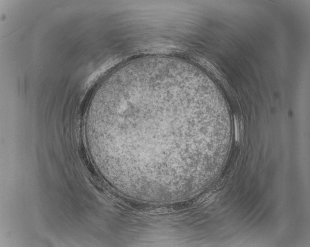 X0000060570675200512011708