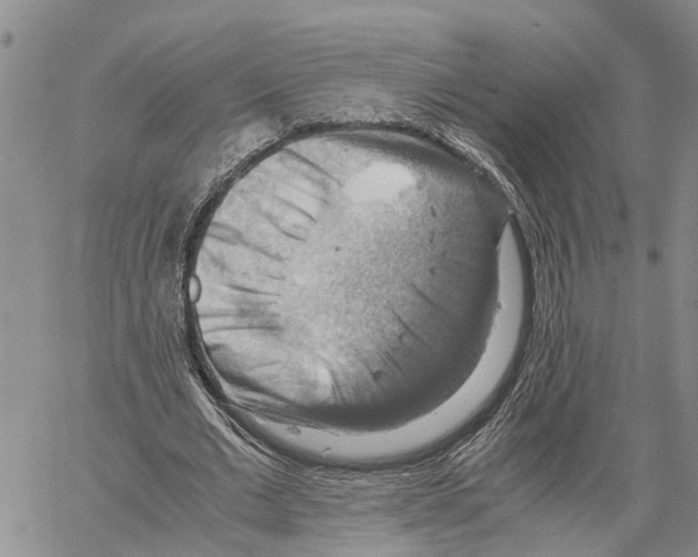 X0000060570677200512011708