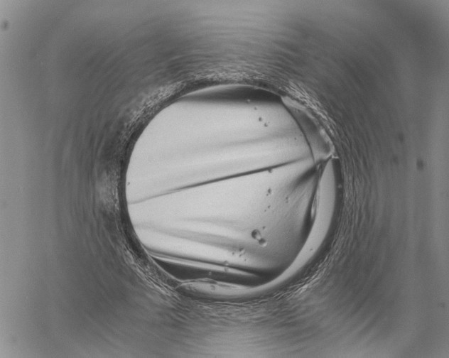 X0000060570681200512011708
