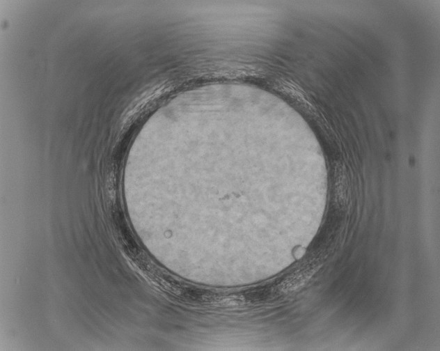 X0000060570683200512011708