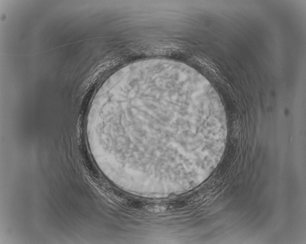 X0000060570687200512011708