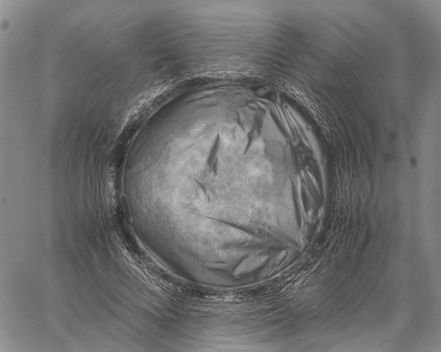 X0000060570688200512011708