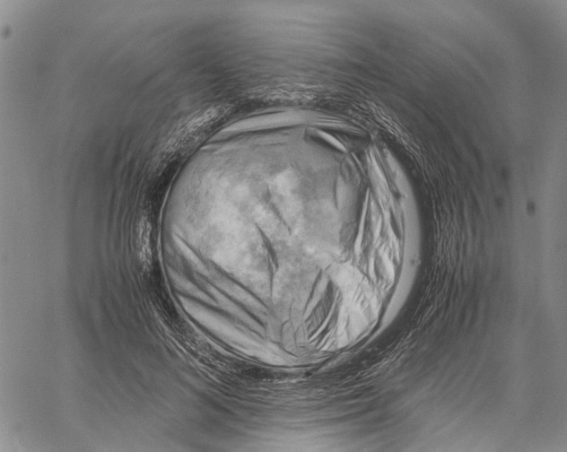 X0000060570692200512011708