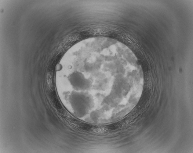 X0000060570695200512011708