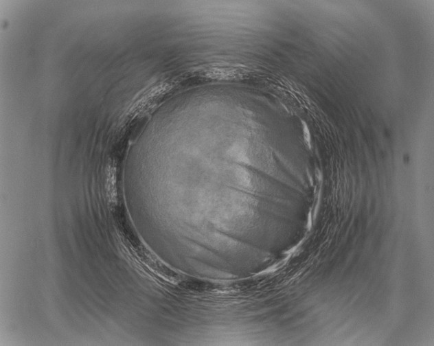 X0000060570696200512011708
