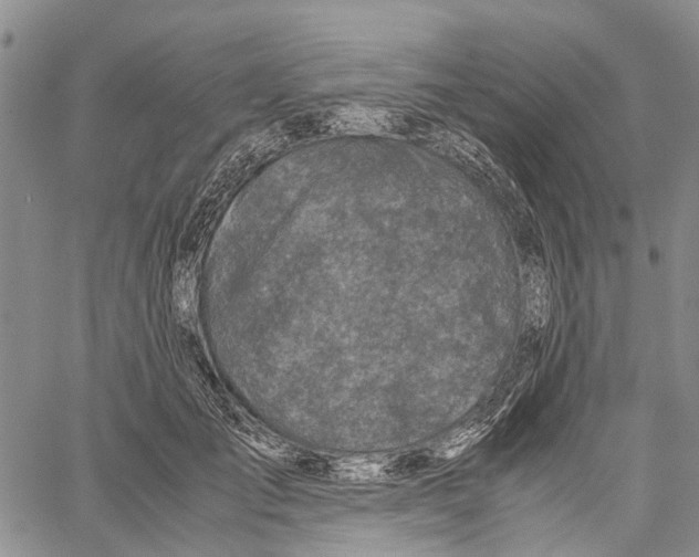 X0000060570701200512011707