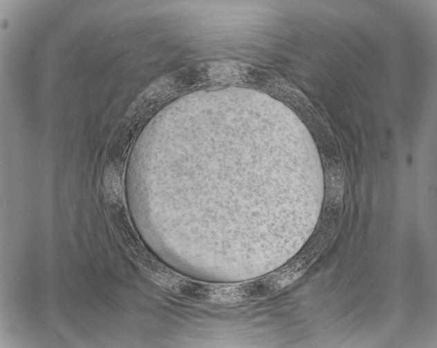 X0000060570705200512011707